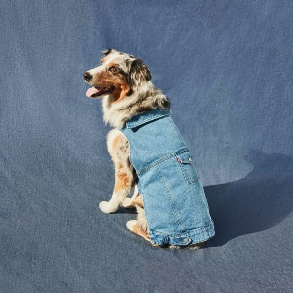 LEVI’S Target Denim Dog Jacket NWT - Picture 2 of 3